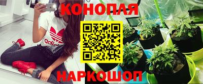 мдма Кандалакша