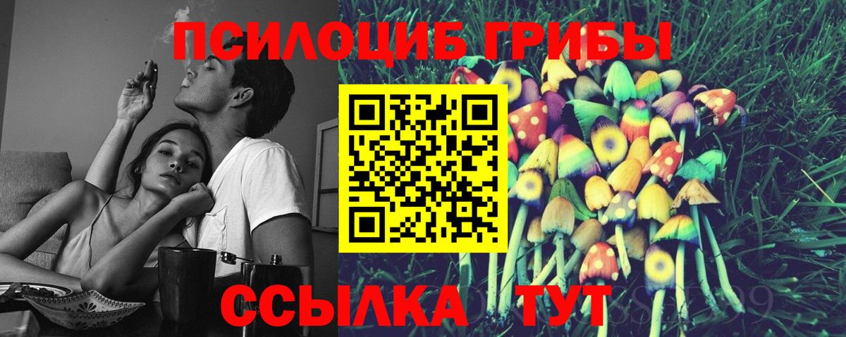 Кувандык  Псилоцибиновые грибы Psilocybe  Псилоцибиновые грибы мицелий  Вход с VPN 